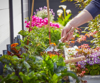 Person using a trowel to plant flowers in a garden border.