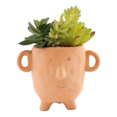 Face Terracotta Pot With Faux