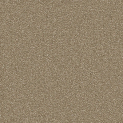 Fairway Twist Pile Carpet by Remland (Light Taupe, 1m x 4m)