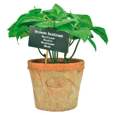 Fallen Fruits Artificial Basil In Terracotta Pot (Size L)