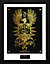 Fantastic Beasts Albus Dumbledore  30 x 40cm Framed Collector Print