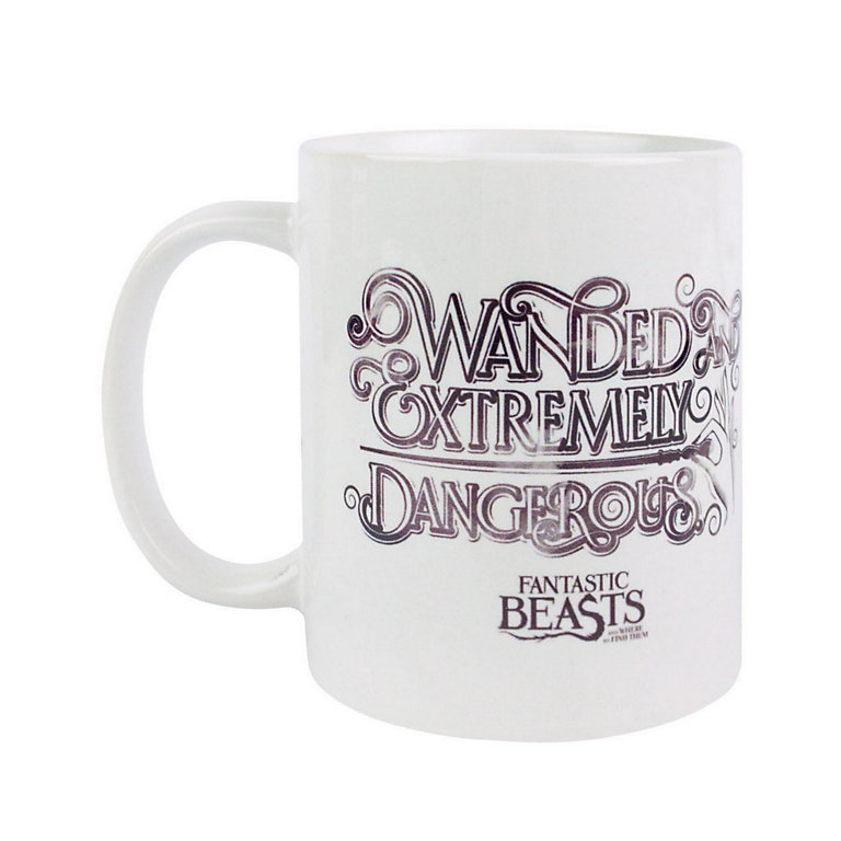 Fantastic Beasts And Where To Find Them Wanded Ceramic Mug White (One Size) | DIY at B&Q
