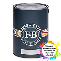 Farrow & Ball Dead Flat Mixed Colour 231 Setting Plaster 5 Litre