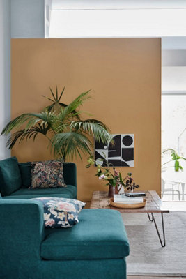 Farrow & Ball Estate Emulsion Mixed Colour 53 Cane 2.5 Litre
