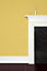 Farrow & Ball Exterior Masonry Mixed Colour Paint 218 Yellow Ground 5L