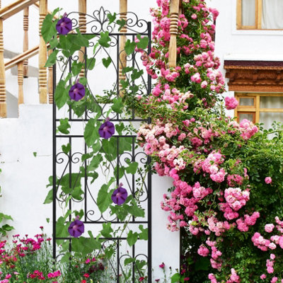 4-Pack 71 in. Black Metal Rustproof Trellis for Climbing Plants-Decorative Outdoor Plant Support