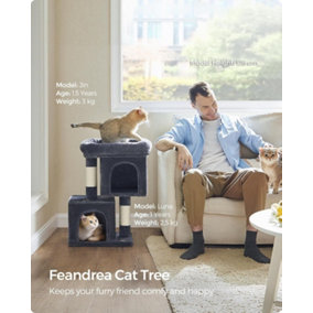 Feandrea Cat Tree, Cat Tower, Small, Cat Condo for Small Cats, Large Cat Perch, 2 Cat Caves, Scratching Post, Smoky Grey