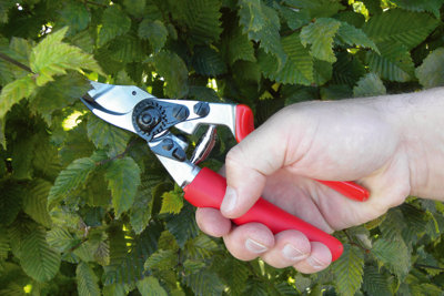 Felco Model 12 Rotating Secateurs
