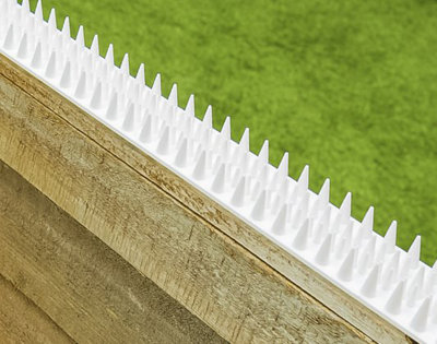 Fence Spikes Cat Deterrent Anti Climb Grey  White Pack Of 10 Strips