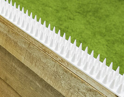 Fence Spikes Cat Deterrent Anti Climb Grey  White Pack Of 8 Strips