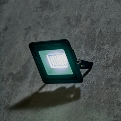 Fergus Black Outdoor 10 Watt LED Flood Light