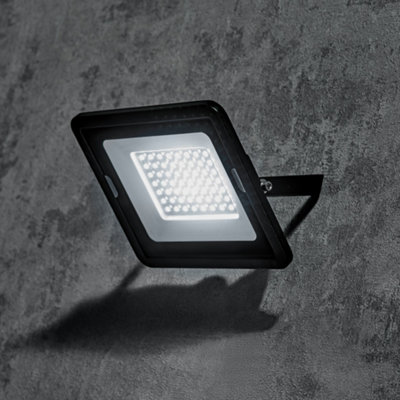 Fergus Black Outdoor 30 Watt LED Flood Light