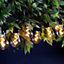 Festive LED Spiral Filament Connectable Outdoor Festoon Light Warm White Clear