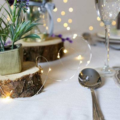 Festive Lights 2m 20 Warm White LED Battery Powered Decorative Micro ...