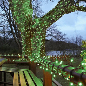 Festive Lights - ConnectPro 5m Green Outdoor IP65 Connectable LED Christmas Fairy String Lights - No Plug
