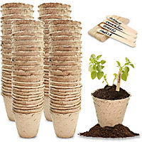 Fibre Biodegradable Pots Round Seedling Plant Pots (50 Pcs x 6 cm) Small Seed Pots for Growing Plants