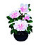 Fibre Optic Flower Light Pink Peonies Premier White LED Light Up Decoration 40cm