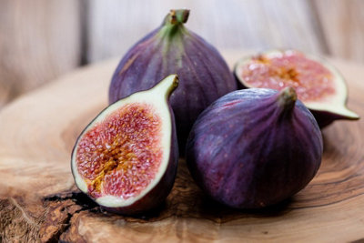 Fig Fruit Tree - Ficus Carica 'Rouge De Bordeux' in 9cm Pot