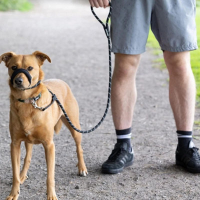 Figure 8 No Pull Dog Lead Padded Loop