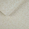 Fine Décor Mirage XVI Empire Leaf Scroll Cream Gold Wallpaper