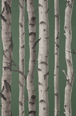 Fine Decor Birch Trees Hunter Green Wallpaper FD43292