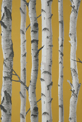 Fine Decor Birch Trees Mustard Wallpaper FD43290