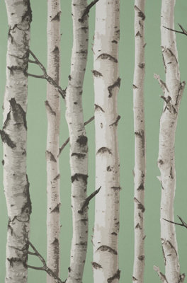 Fine Decor Birch Trees Sage Wallpaper FD43291