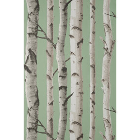 Fine Decor Birch Trees Sage Wallpaper FD43291