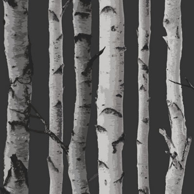 Fine Decor Birch Trees Wallpaper - Black and Silver