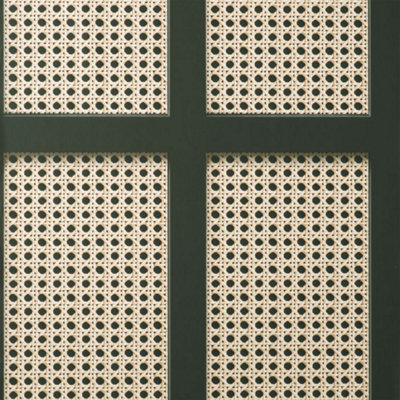 Fine Decor Cane Panel Realistic 3D Effect Beige / Black Wallpaper FD42998