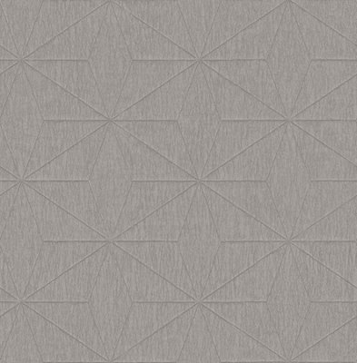 Fine Decor FD25341 Crepe Star Wallpaper, Silver