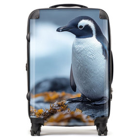 Finn Wilder: 00035 Suitcase - Medium