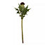 Fiori 56cm Green And Purple Thistle Stem Artificial Plant Foliage