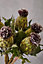 Fiori 56cm Green And Purple Thistle Stem Artificial Plant Foliage