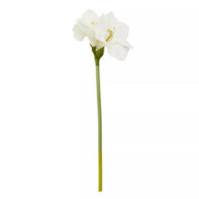 Fiori 72cm Amarylilis Stem Ivory Flower Artificial Plant Foliage
