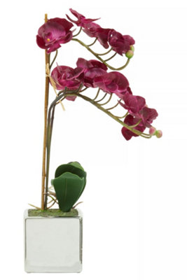 Fiori Aubergine Orchid Plant Artificial Plant Foliage