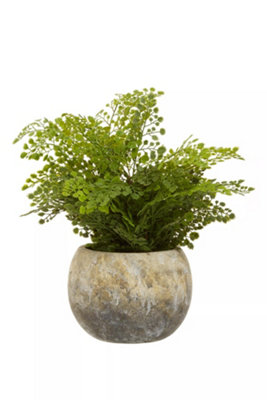 Fiori Fern With Cement Pot Artificial Plant Foliage