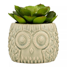Fiori Large Succulent in Grey Ceramic Owl Pot Artificial Plant Foliage