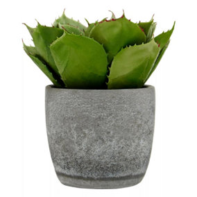Fiori Large Succulent with Cement Pot Artificial Plant Foliage