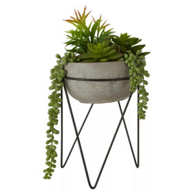Fiori Mixed Succulent with Metal Stand Artificial Plant Foliage