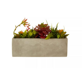 Fiori Mixed Succulents with Cement Pot Artificial Plant Foliage
