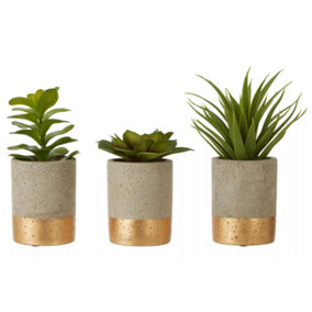 Fiori Set of 3 Grey Pot Succulents Artificial Plant Foliage