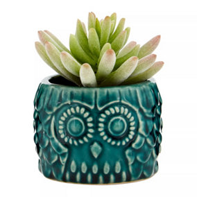 Fiori Small Succulent in Blue Ceramic Owl Pot Artificial Plant Foliage