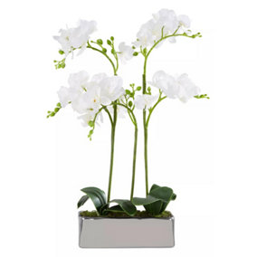 Fiori White Orchid Plant in Rectangular Pot Artificial Plant Foliage
