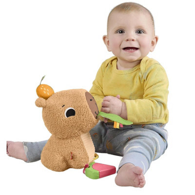 Fisher-Price Snuggly Snacky Capybara Baby Sensory Plush Toy Teether