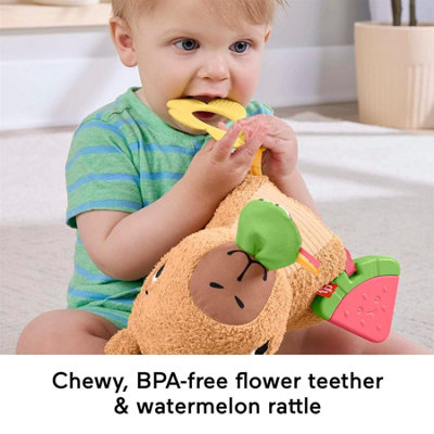 Fisher-Price Snuggly Snacky Capybara Baby Sensory Plush Toy Teether