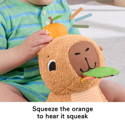 Fisher-Price Snuggly Snacky Capybara Baby Sensory Plush Toy Teether