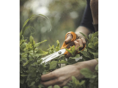 B&q garden store scissors