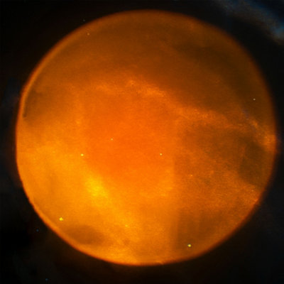 Fizz Creations Astronaut Sunset Lamp - 5