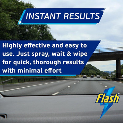FLASH Insect Bug Remover Spray Powerful Car Cleaner for Tar & Bugs 3x500ml
